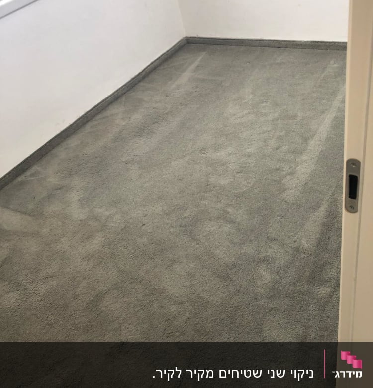 שטיח אפור נקי בחדר ריק עם קירות לבנים